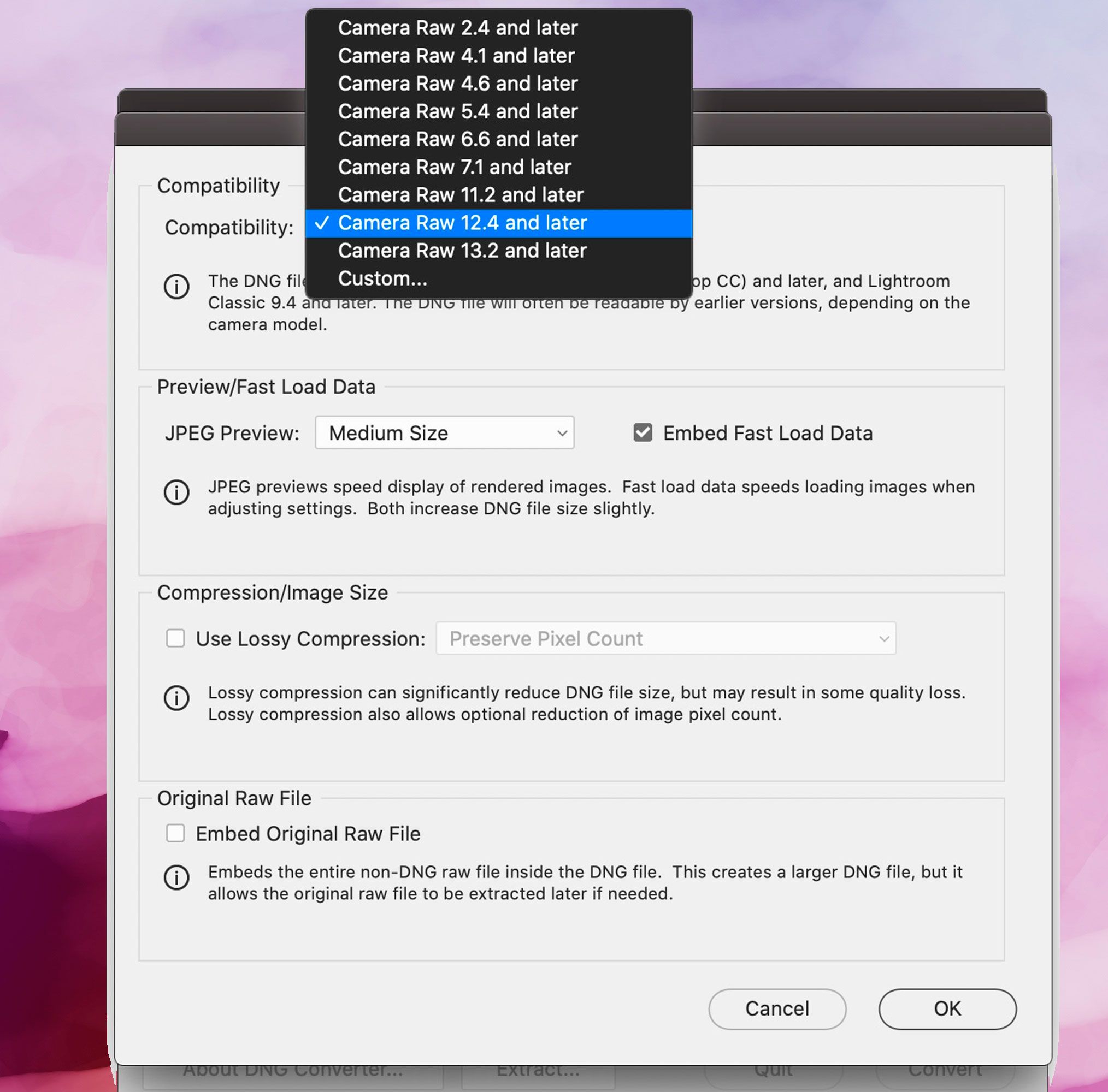 Skærmbillede af Adobe DNG Converter, Kompatibilitetsindstillinger..