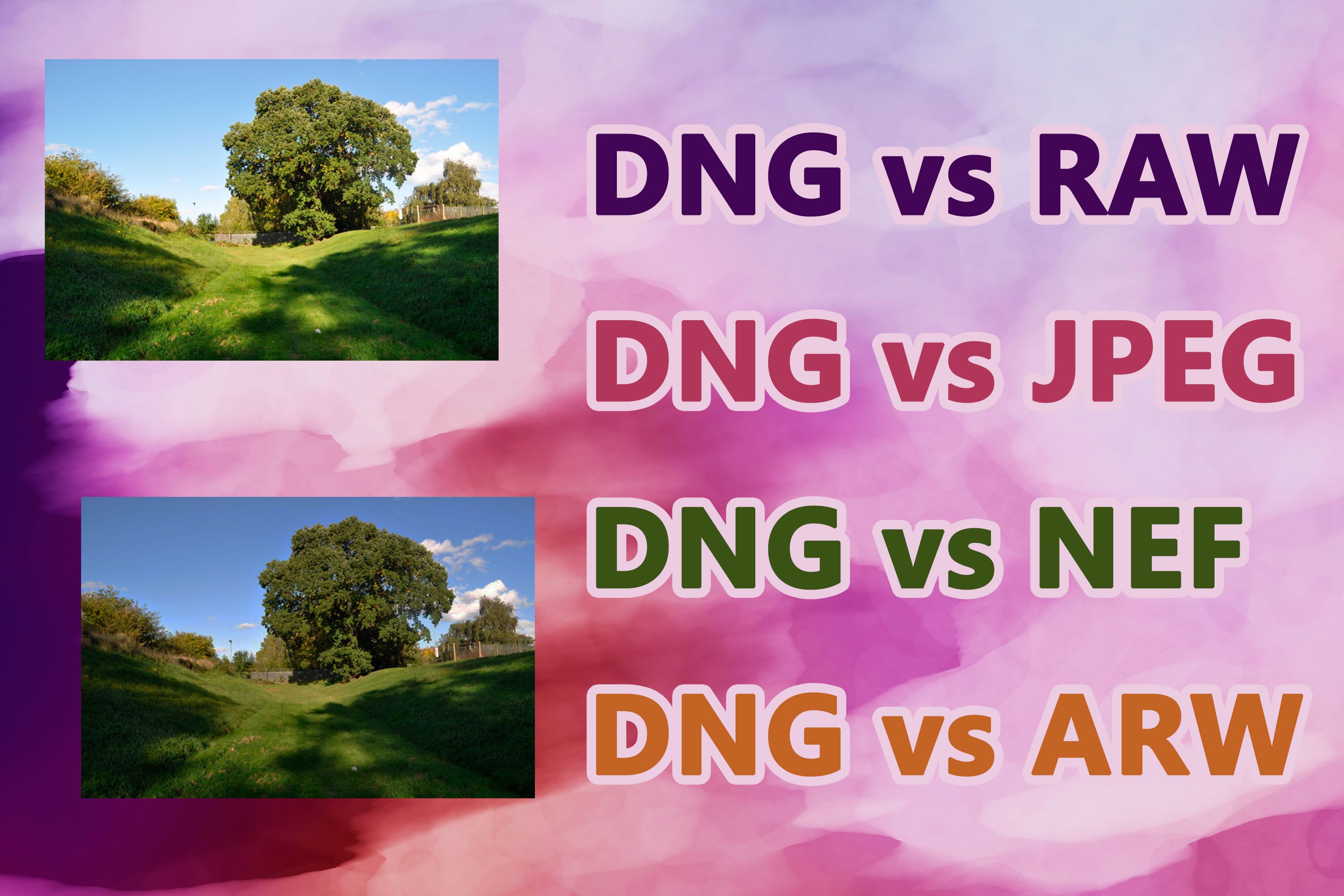 DNG vs. RAW-formater..