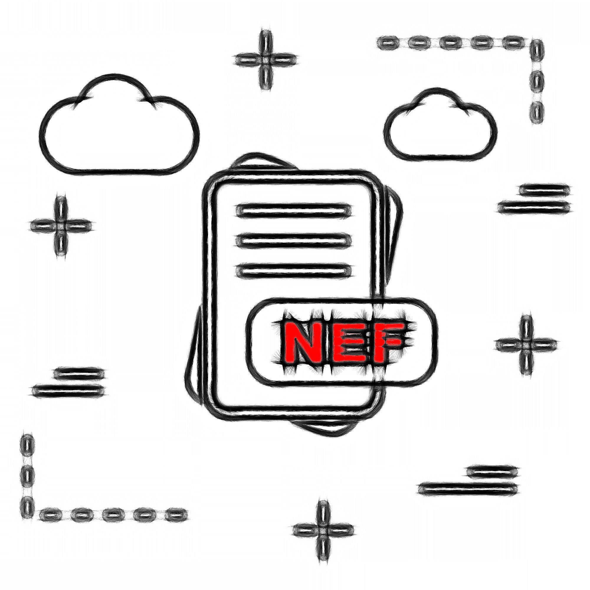 NEF-filformat..