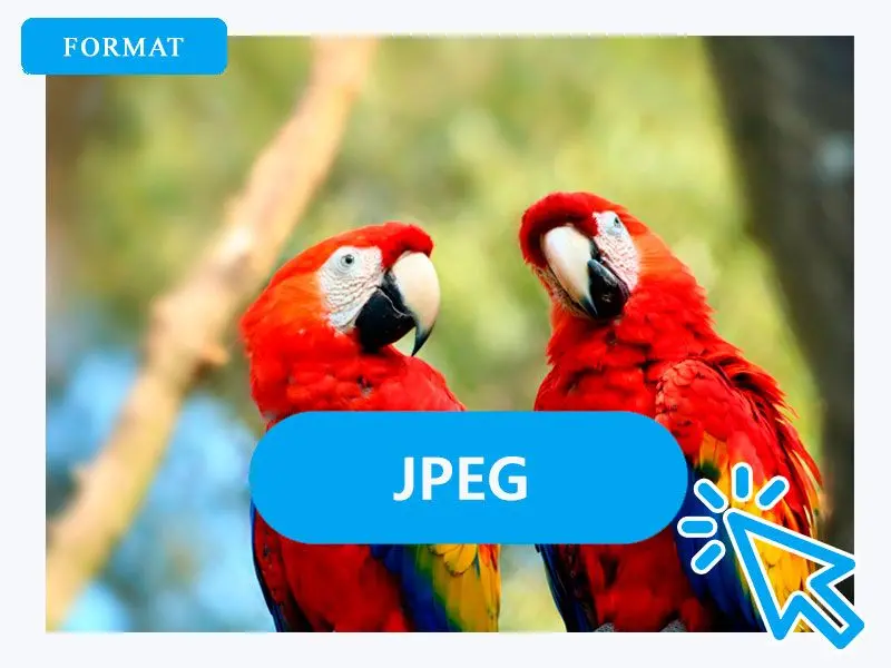 Vælg JPG som outputformat.
