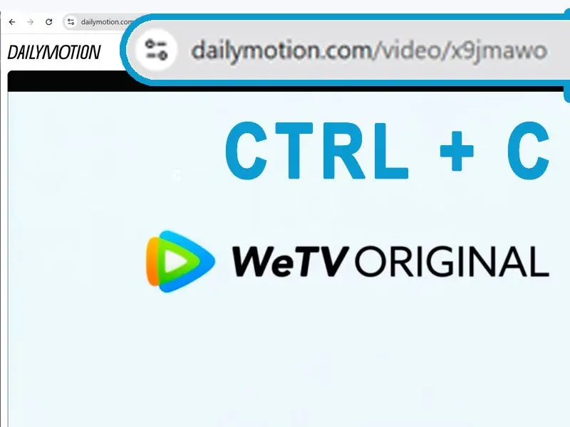 Kopier & Indsæt Dailymotions Video URL.
