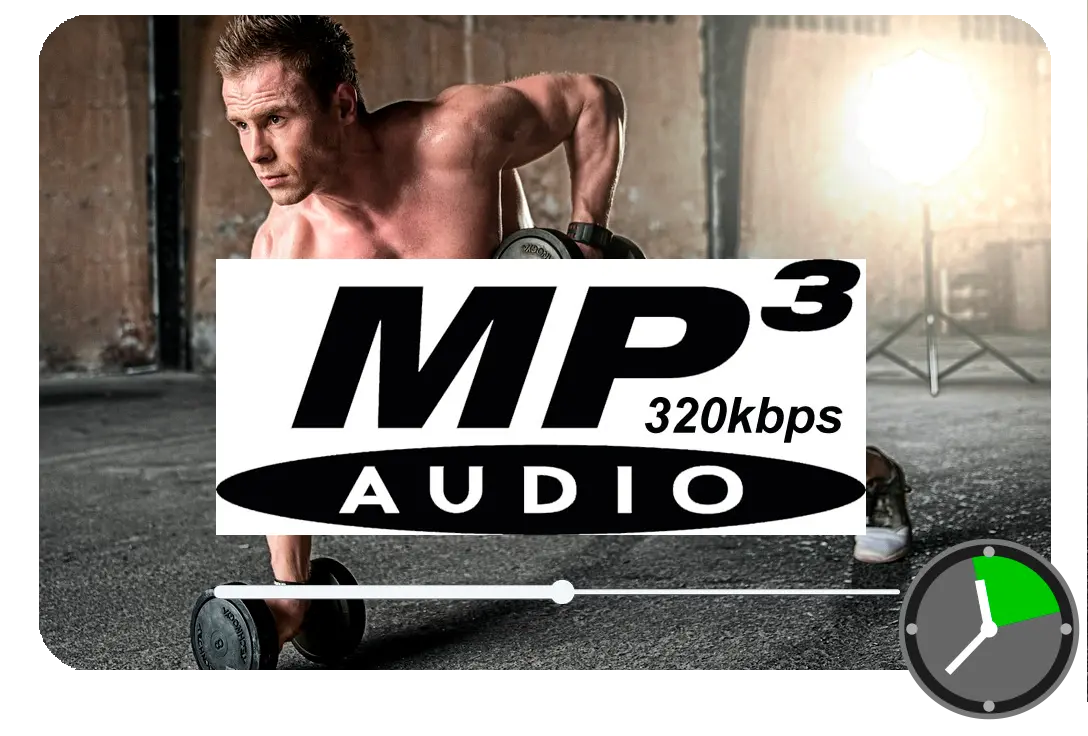 Vælg MP3 som Output.