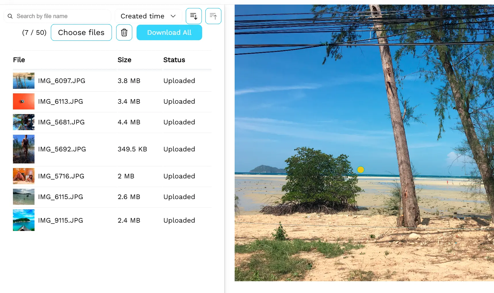 (Valgfrit) Behandle Flere Billeder.