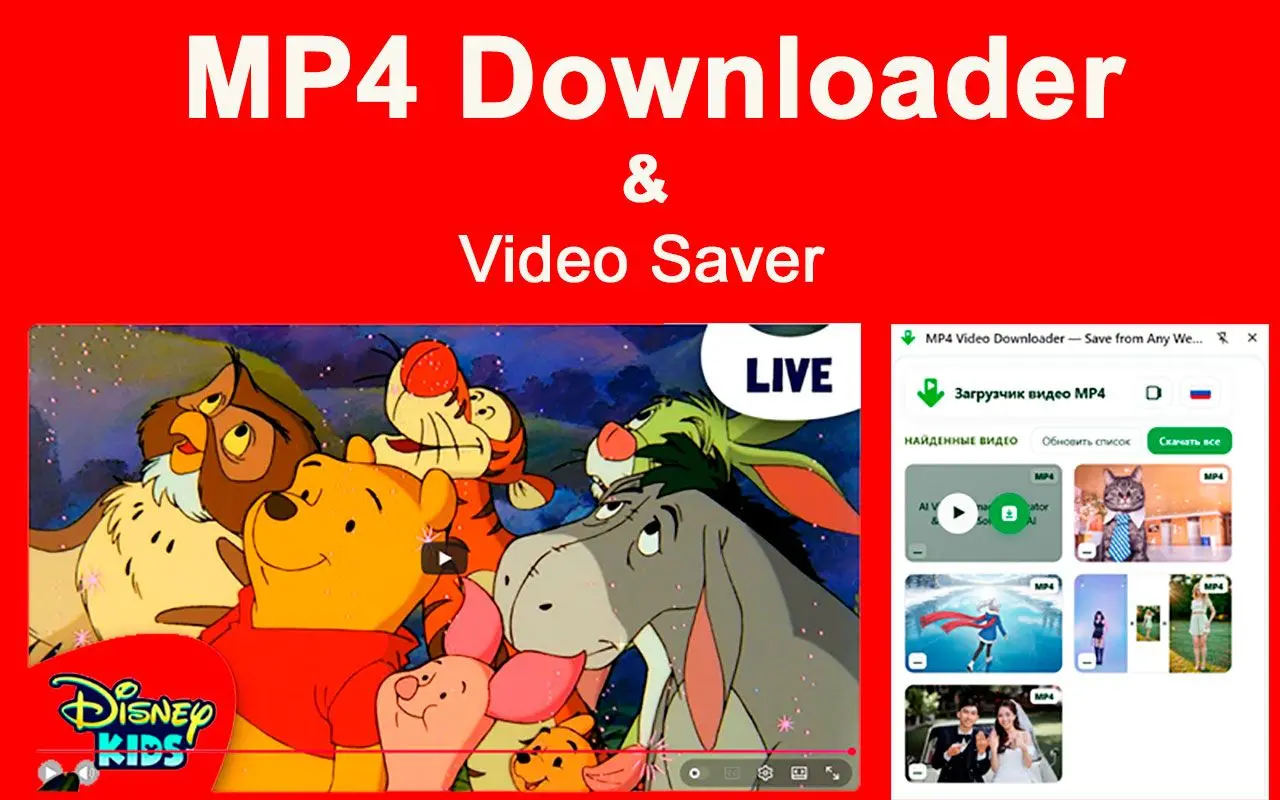 MP4 Downloader & Chrome-udvidelsesbegrænsninger.
