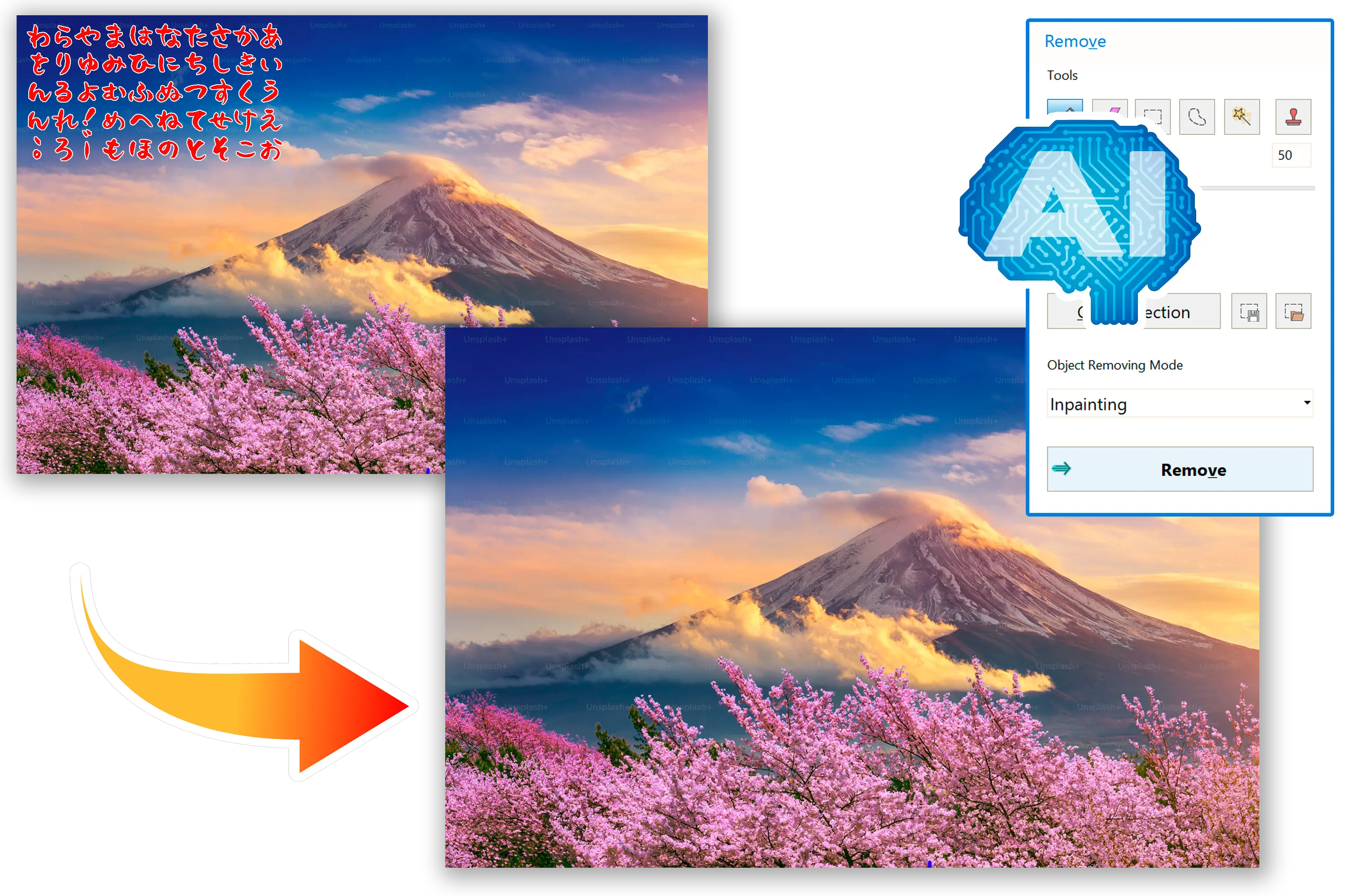 Præcis AI-fjernelse af tegninger.