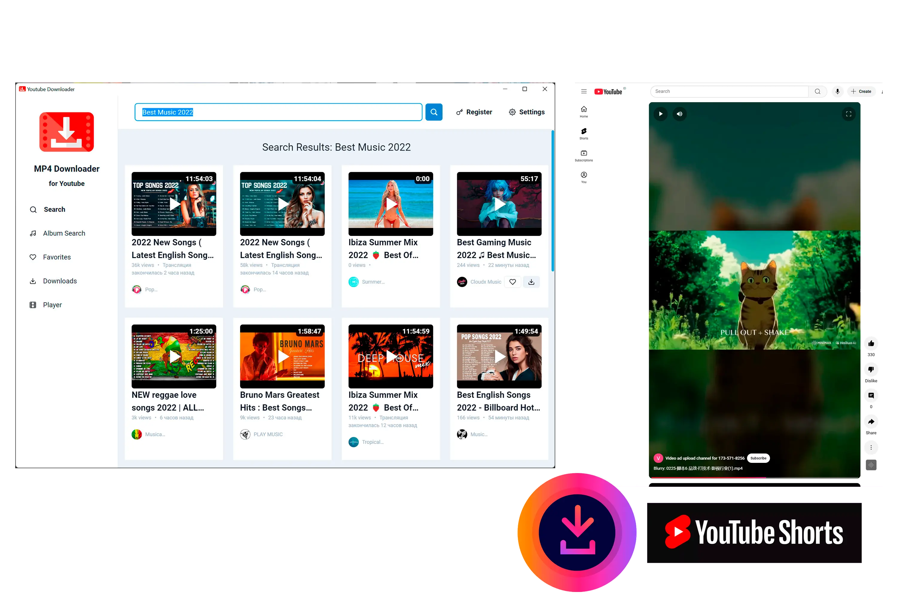 MP4 Downloader for Youtube Skærmbillede.