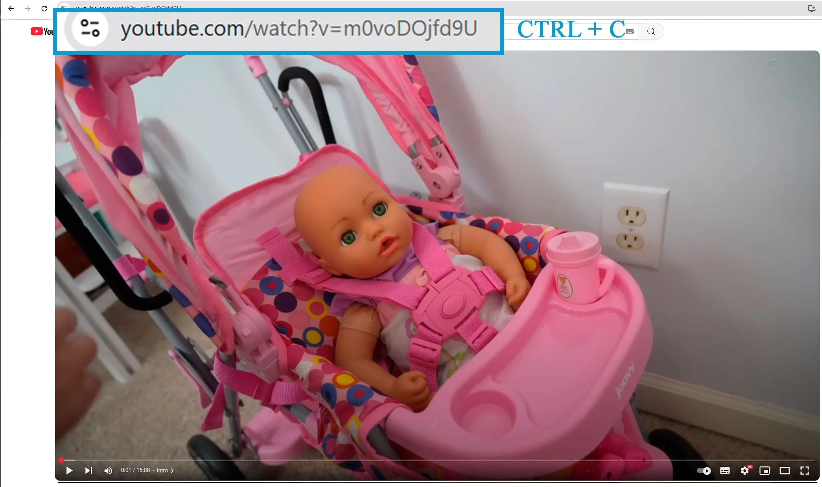 Kopier Din YouTube Video URL.